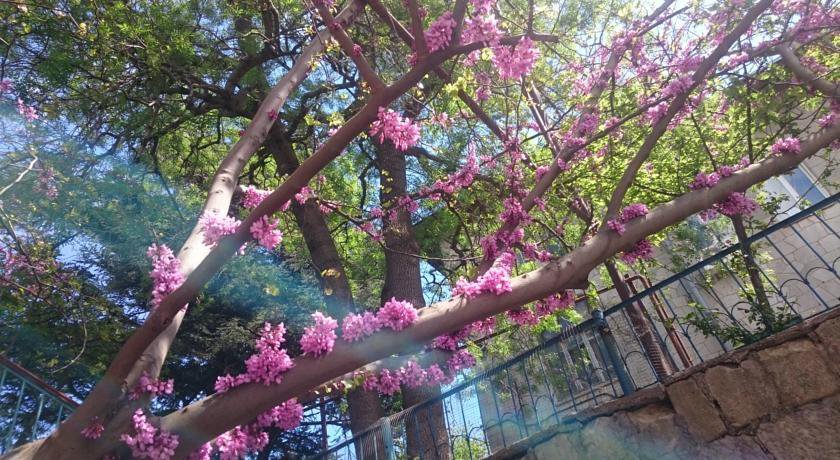 Гостиница Barabulka Ялта-23