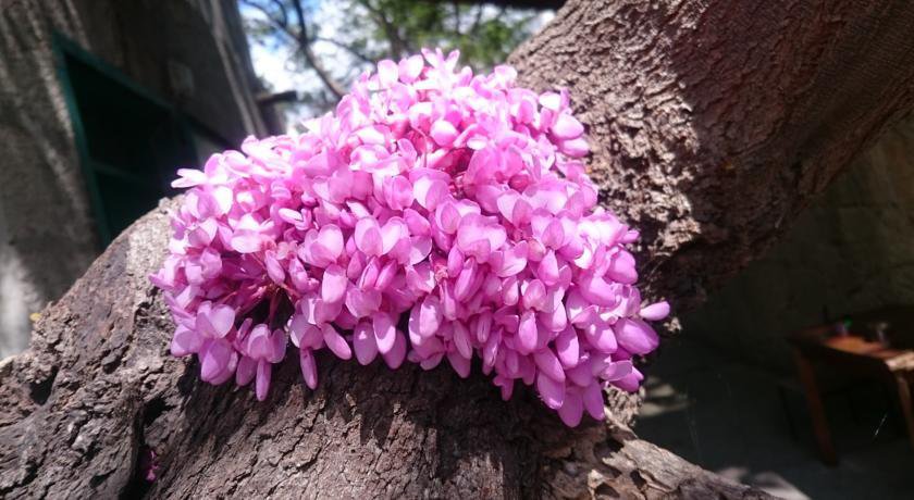 Гостиница Barabulka Ялта-4