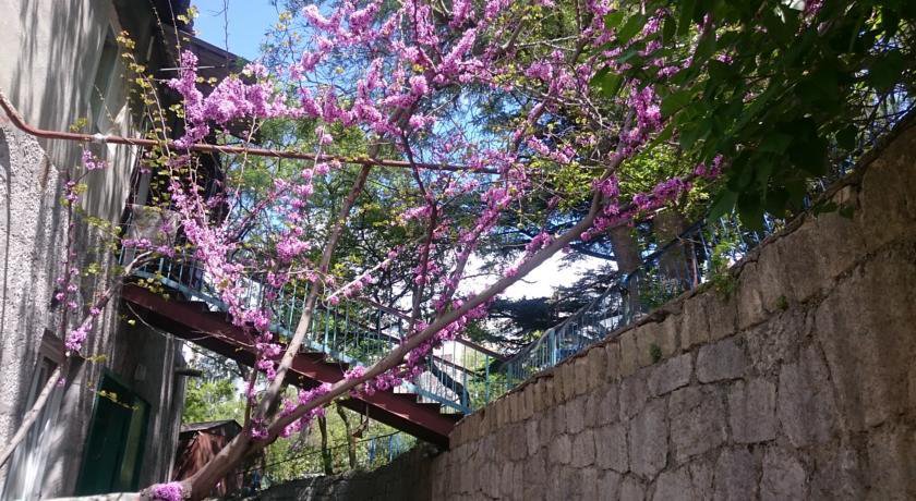 Гостиница Barabulka Ялта