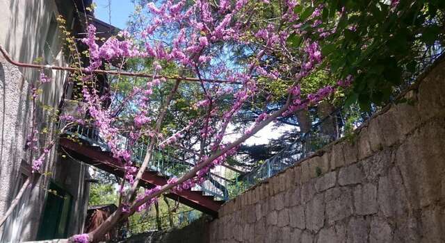 Гостиница Barabulka Ялта-23